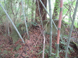 8守衛所向かいの竹林内の不明遺構
