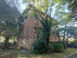 40���Թ�Ω��ʪ�۵��ѻ������ʹ�