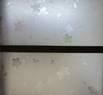 11¤µ¤¯¤é(¥»¥ó¥È¥é¥ë¾Ë»Ò)1971ǯ