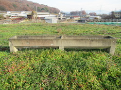 18.ÇÏÍѿ岳