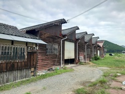 24����Į�ο�ʪ������