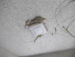 8亀岡商工会館