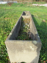 17.ÇÏÍѿ岳