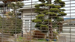 34.深沢邸 八代町