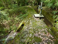 10宮津市滝上浄水場取水口堰堤上部