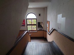 31�������