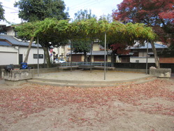 11下鴨森ガ前児童公園バーゴラ