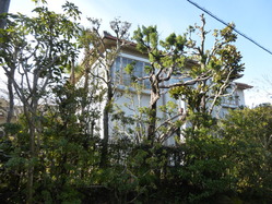 林・岡宮邸1 今熊野北日吉町