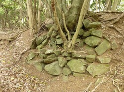 21015697_2211083972_164large