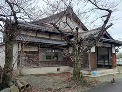 36Ĺ��������