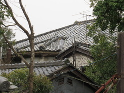 2奈良市内某所の廃洋館