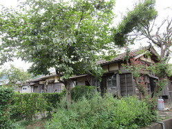 19¼¯¸¶Ã϶蹩°÷½É¼Ë1