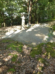 P1110885