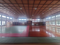 37Ĺ��������