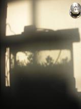 ��2����α�