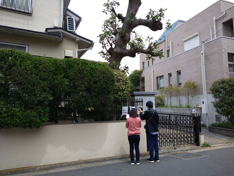 20210617クイズラリー報告1