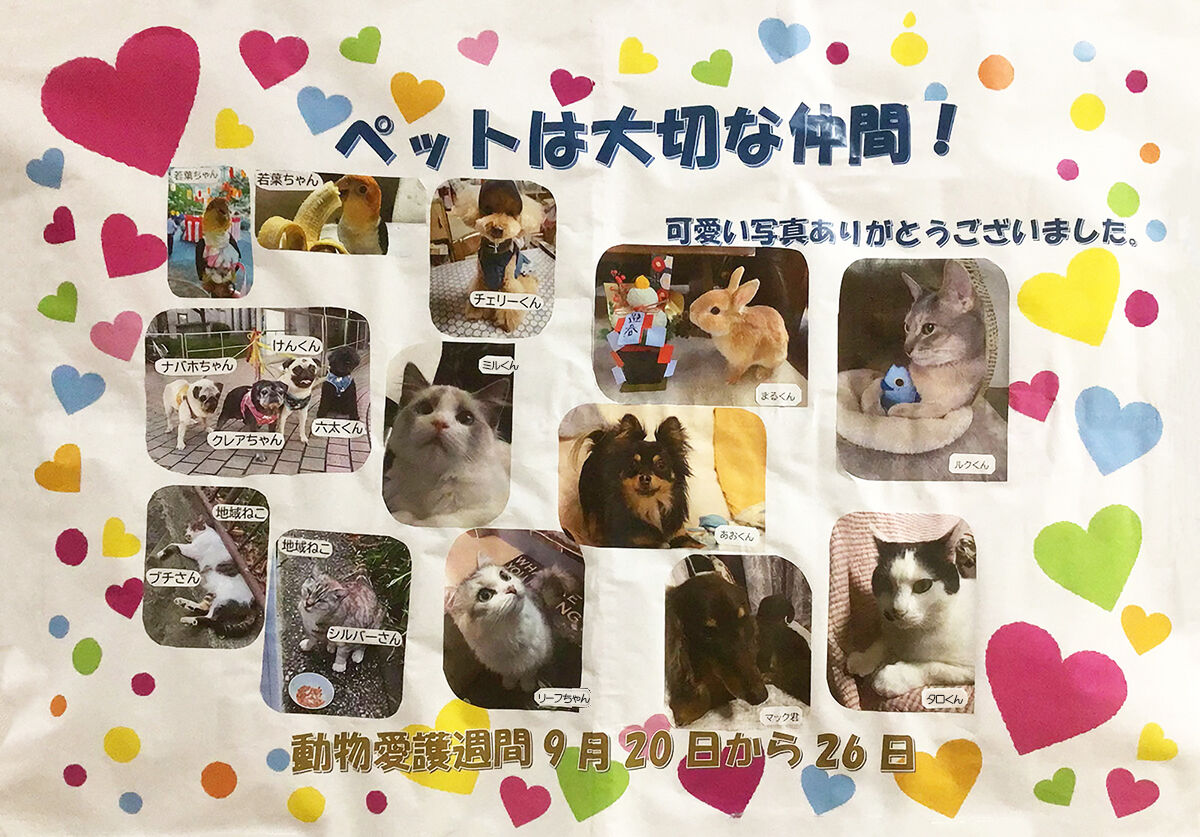 ペット写真もうすぐ公開終了します : 横浜市別所地域ケアプラザブログ