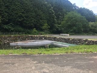 IMG_1956