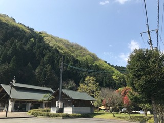 image12