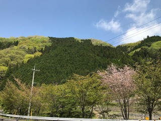image15