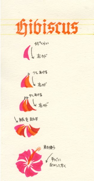 美夏流ハイビスカスの描き方 Lacy Calligraphy 美夏流ハイビスカスの描き方 Lacy Calligraphy