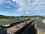IMG_2631