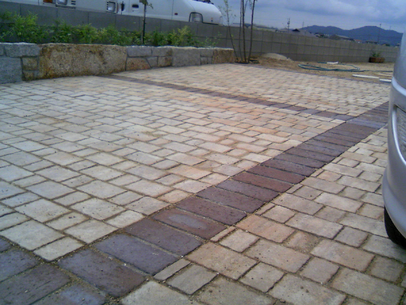 ユニソン カッシア 創作ガーデン日日奮闘記