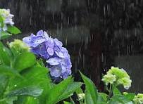 梅雨時期も塗装はできます！