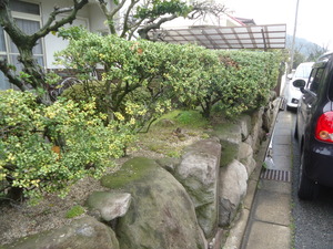 DSC08307