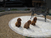 2008_0704画像0002