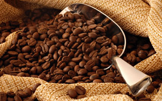 coffee_bean_1