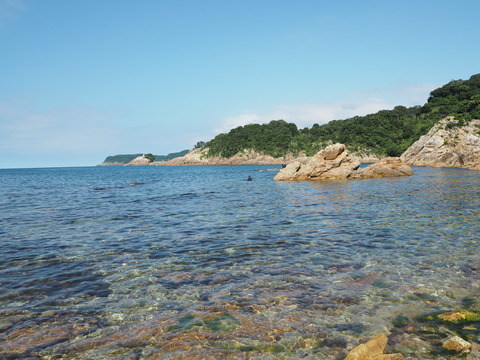 P7190115