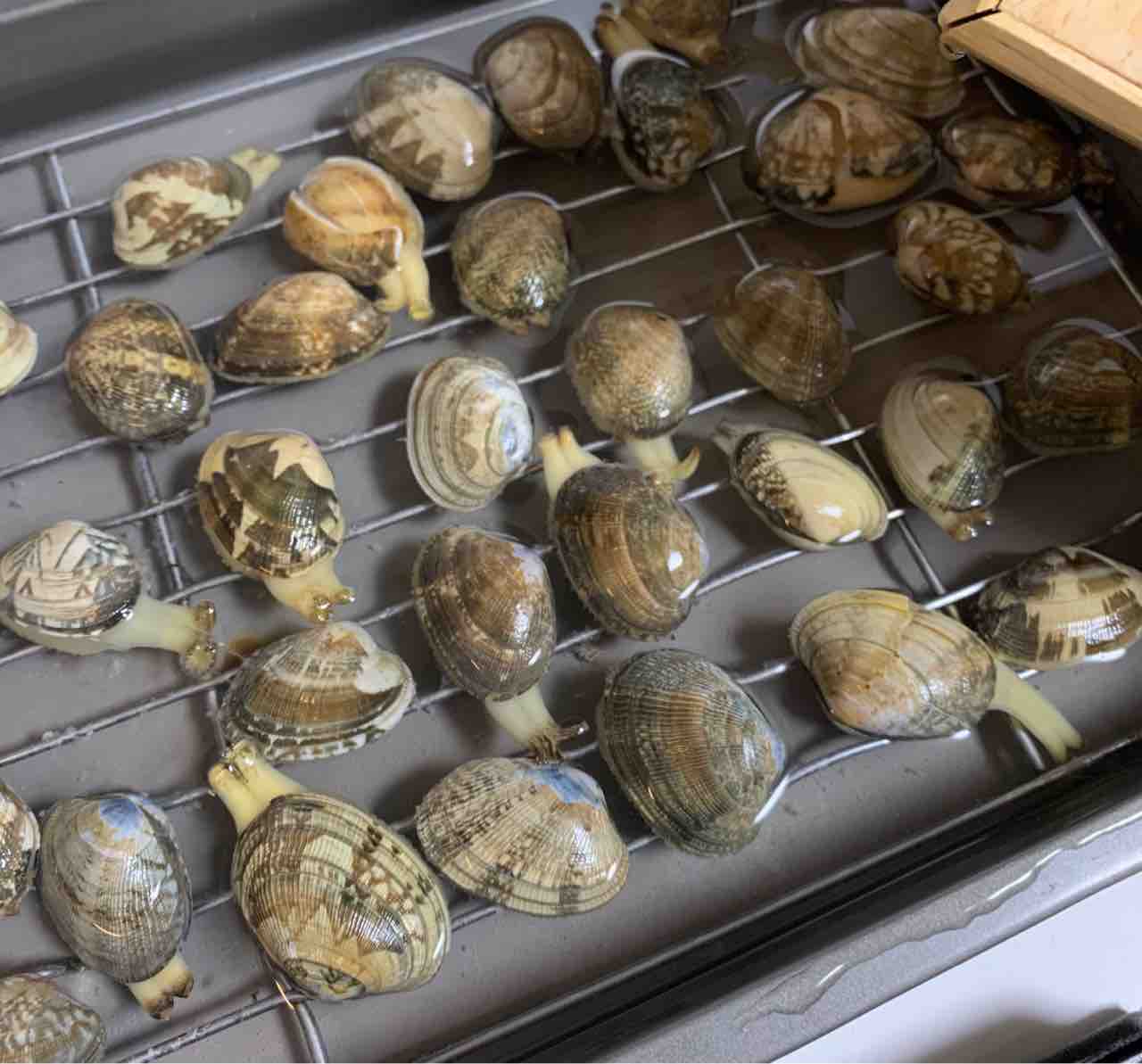 抜き アサリ の 砂