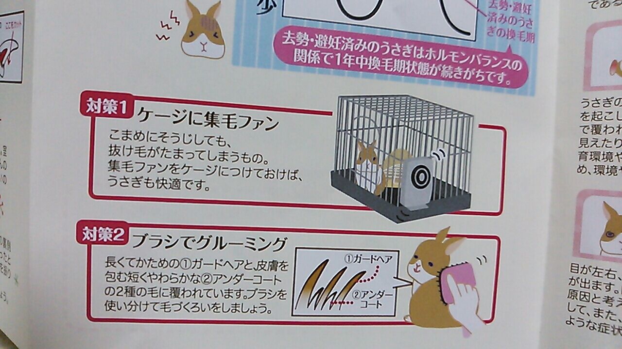 うさぎの集毛ファン さくらとももこ うさぎの集毛ファン さくらとももこ