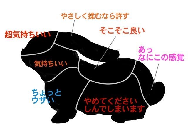 どこを触れば喜ばれるかが分かる図 さくらとももこ