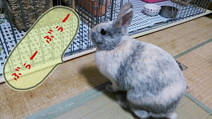 うさぎが怒るとき さくらとももこ