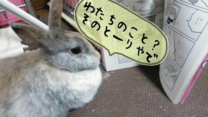 ぽぽたむさまの本買った さくらとももこ ぽぽたむさまの本買った さくらとももこ