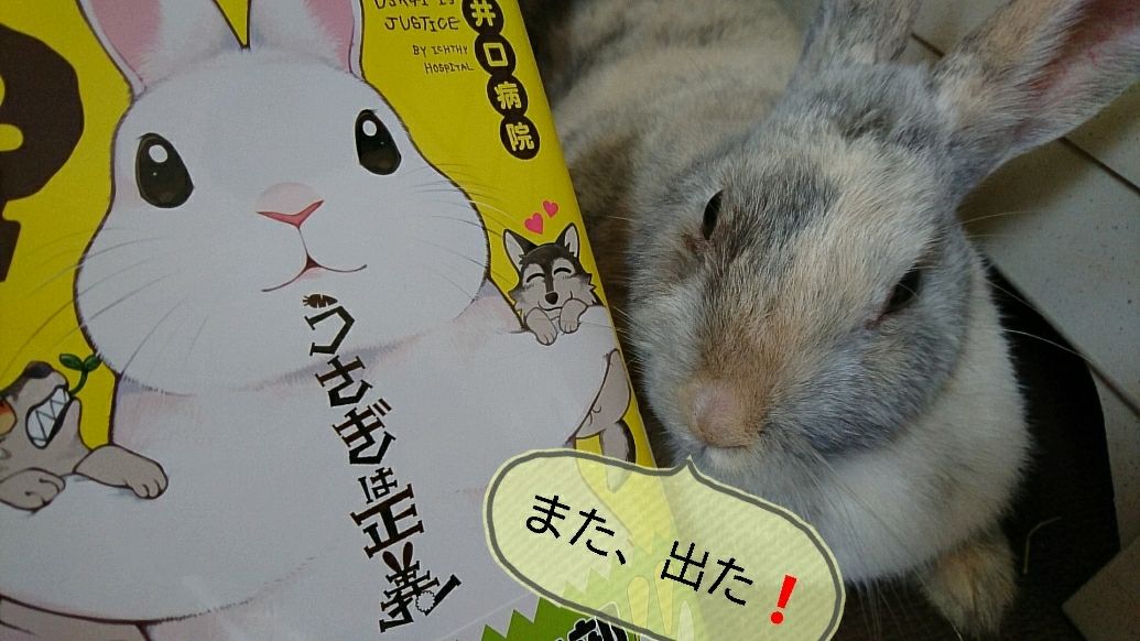 うさぎは正義2がでたよ さくらとももこ