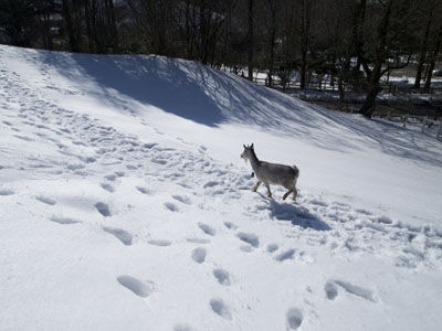 20140223_13