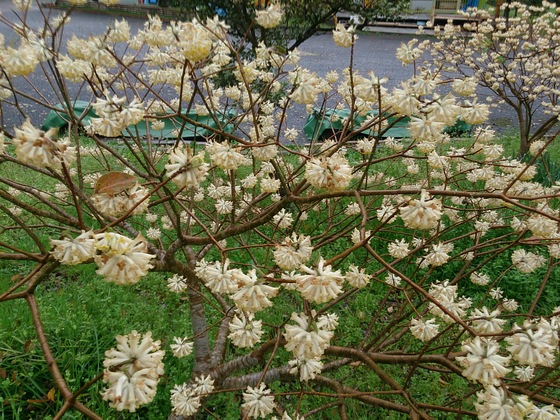 046d7376.jpg