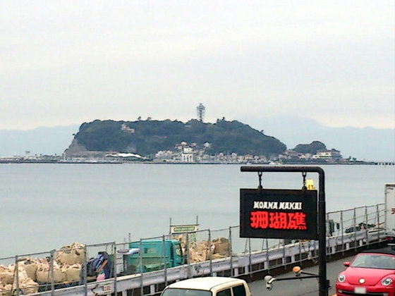 095c8c91.jpg
