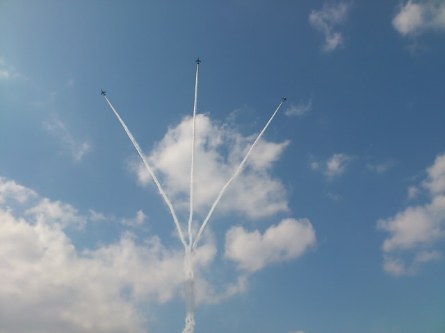 4a78d339.jpg
