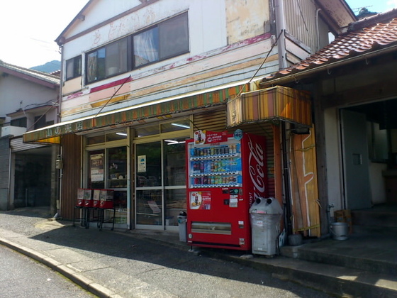 733dc747.jpg