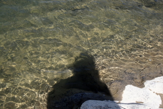 a8353a13.jpg