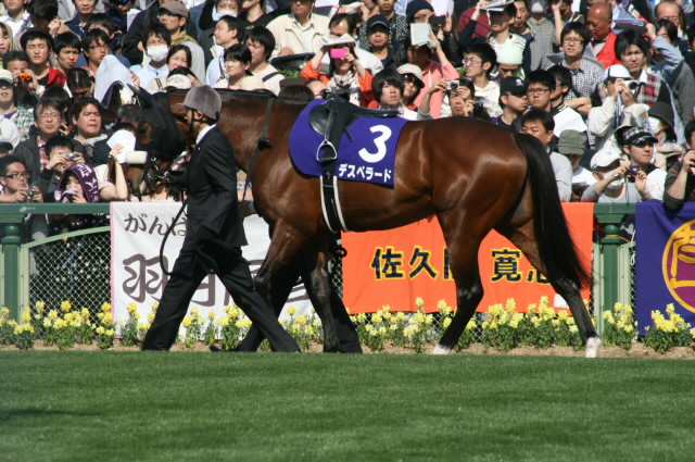 d1338c9f.jpg