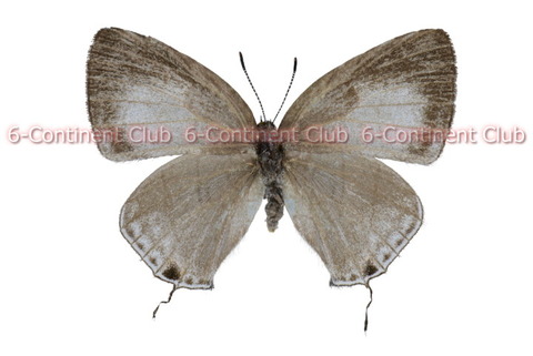 191115Eb01mrSW
