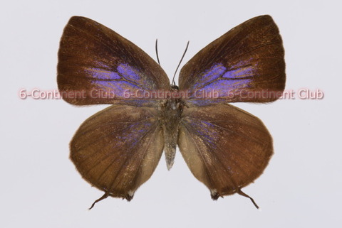 210902Eb03SW