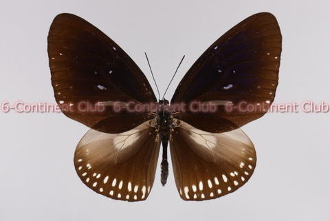 200825Eb07SW