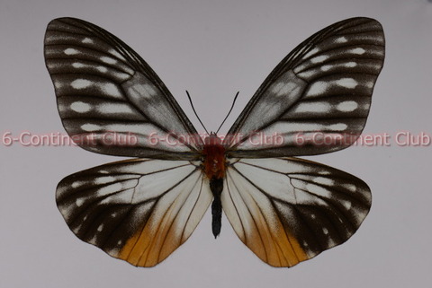 191121Eb09SW