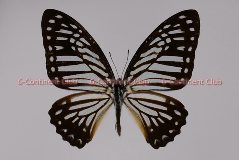 191009Eb01SW